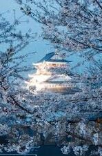 日本足球最近比分-日本足球近期比分全解析，从胜利中探寻崛起密码