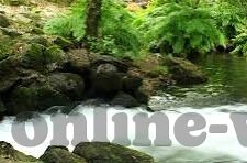世界杯竞猜推介水-世界杯竞猜推介水,一场智慧与激情的碰撞