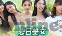 杏彩主管8.4566-杏彩主管8.4566，企业管理的艺术与创新